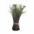 8J-12AK0003 Цветок искусственный 30 см Букет маргариток белых Garda Decor 8J-12AK0003 Цветок искусственный 30 см Букет маргариток белых Garda Decor