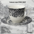 10-0404 Чайная пара: чашка 240мл с блюдцем 15.8см, Claytan, декор ROME GREY 10-0404 Чайная пара: чашка 240мл с блюдцем 15.8см, Claytan, декор ROME GREY