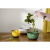 SS-FT-NTSLC-3-in-1 Щипцы кухонные многофункциональные 28.5см Smart Solutions, серия SYNN SS-FT-NTSLC-3-in-1 Щипцы кухонные многофункциональные 28.5см Smart Solutions, серия SYNN