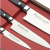 SS9061 Набор Satake StainBolster из 3х ножей (802-819, 741, 802) SS9061 Набор Satake StainBolster из 3х ножей (802-819, 741, 802)