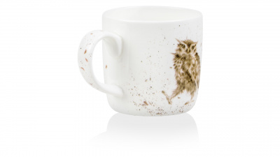 RWC MMKD5629-XT-1 Кружка Royal Worcester Забавная фауна, Сова 310мл