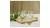 SBH-JS/SG/B4 Стаканы низкие 450мл для воды The Just Slate Company Пчела 4 штуки